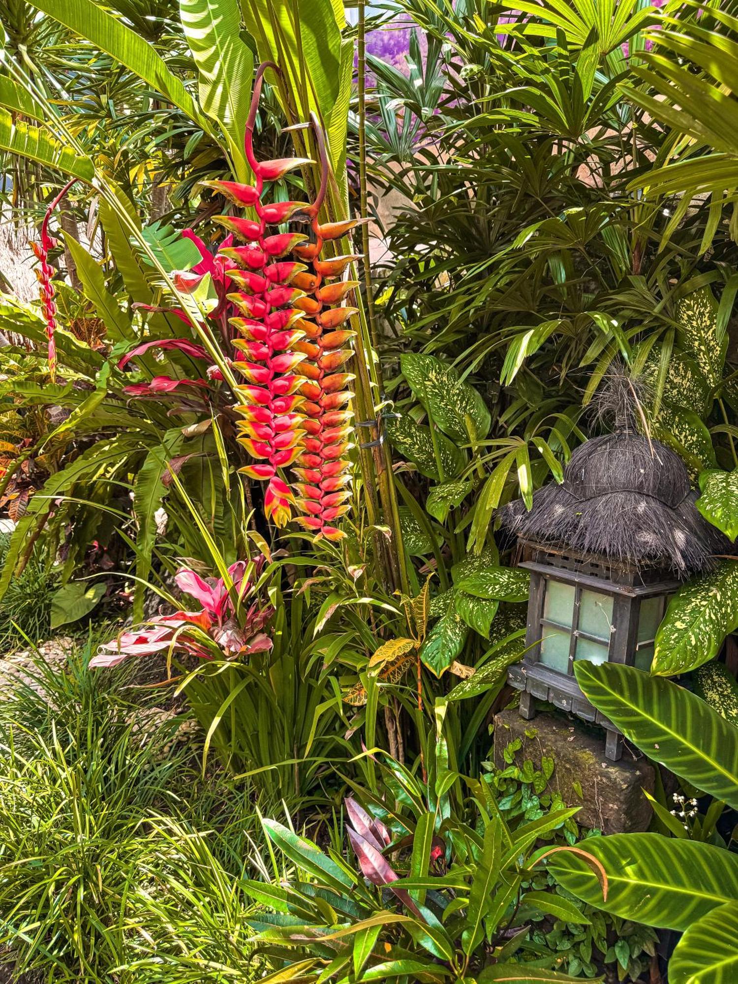 Bali Maison 乌布 外观 照片