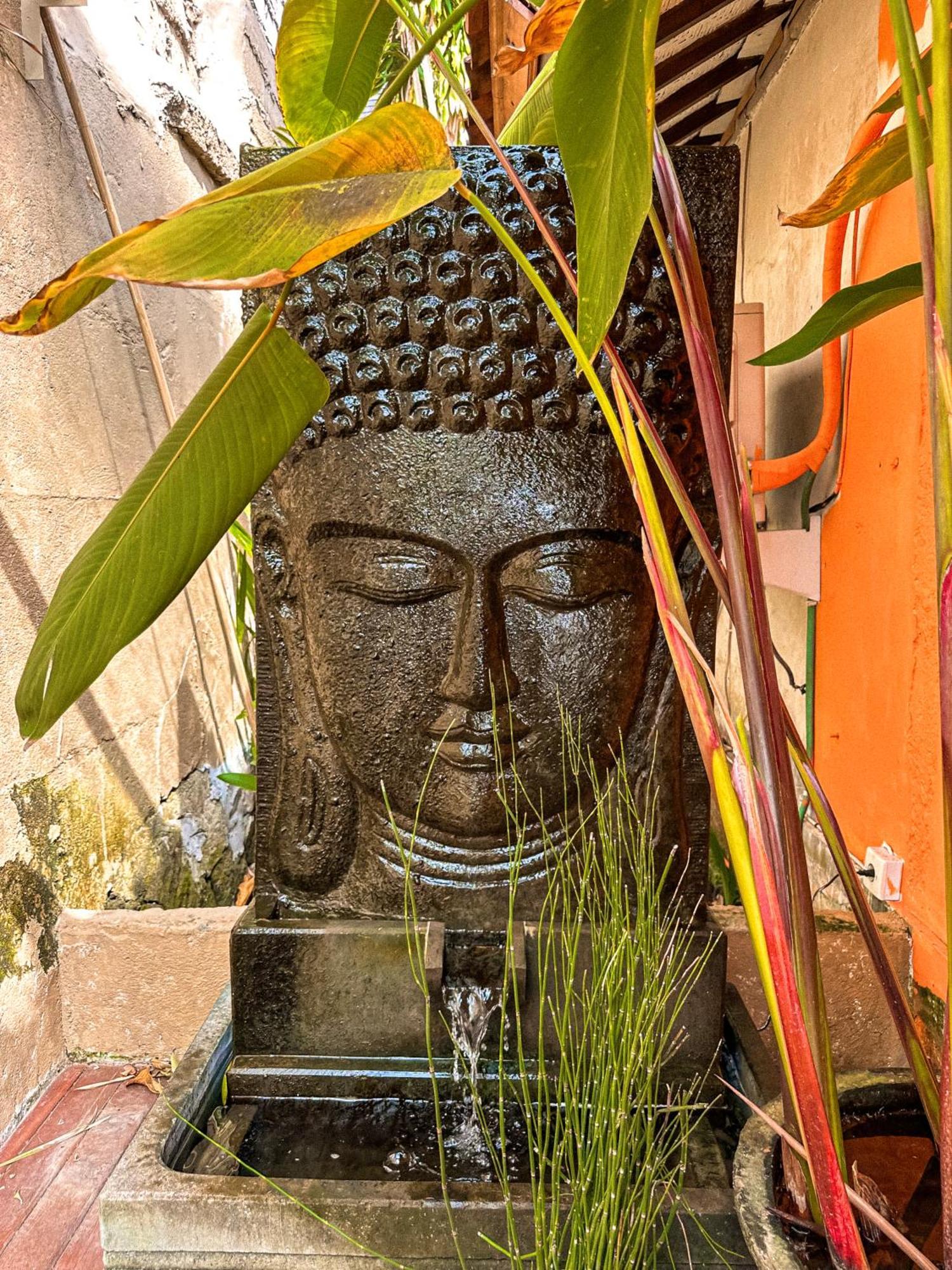 Bali Maison 乌布 外观 照片